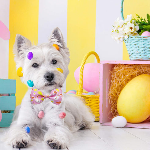 Easter Day Dog Collar with Bow Tie - Holiday Bunny Carrot Collar for Small Medium Large Dogs (Hoppy Hour/Pink, Medium)