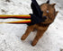 Dewonch Leather Bite Rag for Dog Training - K9 Puppy Toy for Building Prey Drive, Tug of War Game with Handle