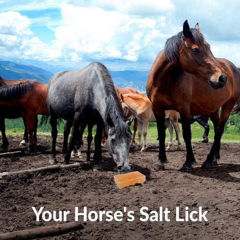 100% 6 LBS, Pack 2 Licking Salt for Horse, Pure Himalayan Pink Salt Chunks, Animal Feed Salt Chunks, Horse Salt Licks
