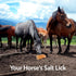 100% 6 LBS, Pack 2 Licking Salt for Horse, Pure Himalayan Pink Salt Chunks, Animal Feed Salt Chunks, Horse Salt Licks
