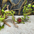 Hamiledyi 9.8FT Lizard Climbing Jungle Vines, Bendable Artificial Branch Reptile Tank Habitat Decor for Bearded Dragon,