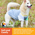The Dodo Dog Bandana & Colorblock Tee Pet Apparel Set, Extra Small Size; Grey, Green & White Dog Tshirt, Matching Pet