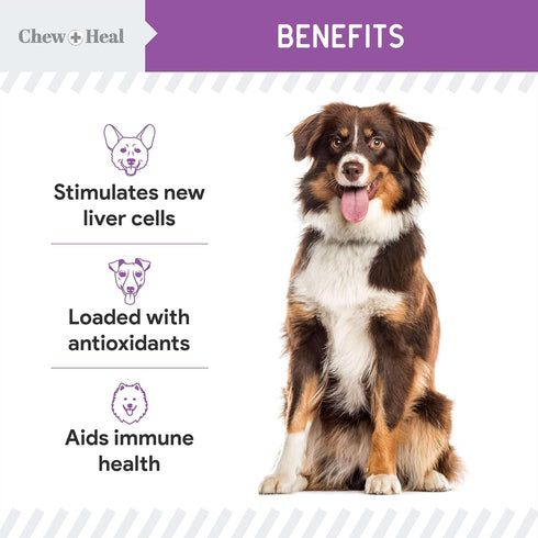 Milk Thistle for Dogs, 2 oz Liquid Supplement for Liver Support with Wild Alaskan Salmon Oil and Moringa Oil
