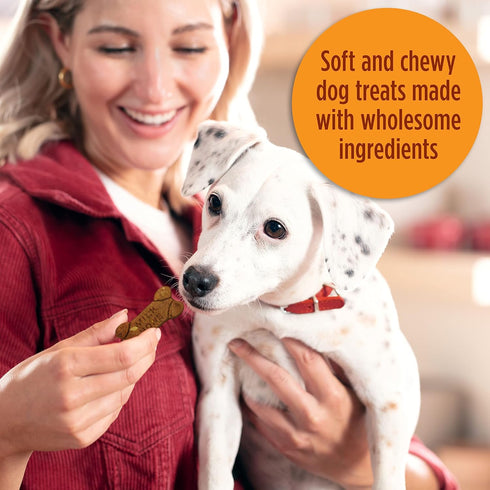 Milk-Bone Simply Soft & Chewy Dog Treats, Wholesome Chicken Recipe, 25 Ounces, Made with Real Chicken