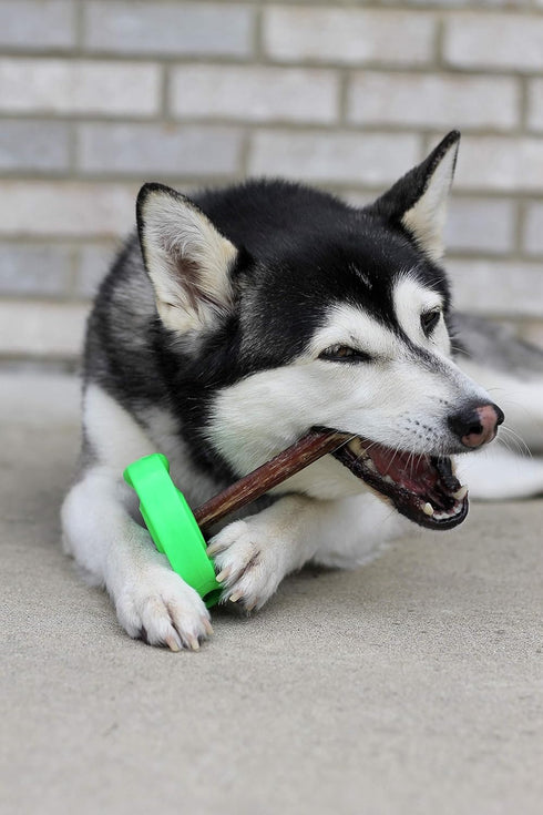 SafetyChew Starter Pack | Bully Stick Holder | All-Natural Free-Range Dog Chews Made in USA