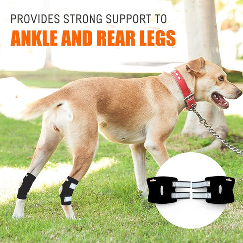 NeoAlly Short Rear Leg Hock Brace, Dog Leg Brace for Rear Leg Support, Large, Black, 1 Pair