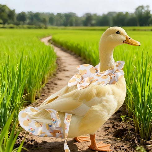 Magnoloran Chicken Diapers for Hens, Roosters, Diapers for Ducks with Walking Leash, Reusable Pet Duck Diapers Chick