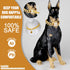 Dog Chain Collar Designer Luxury Gold with CZ Buckle, 19mm Cuban Link Metal Dog Collars for Puppy Small Medium Large