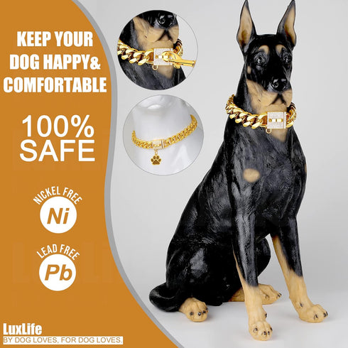Designer Luxury Dog Collar - Gold with CZ Buckle, 19mm Cuban Link Metal Dog Collars, Includes Dog Tag & Bell (14")