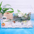 2 Pack Large Hermit Crab Water Tank, Pool with Climbing Ramps for Medium or Large Hermit Crab Habitat
