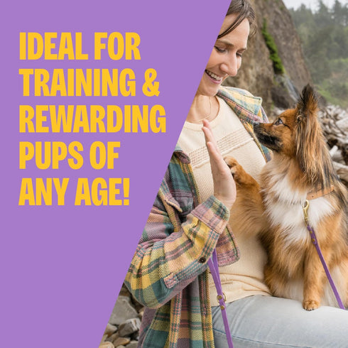 3 oz Wellness Soft Puppy Bites Dog Training Treats, Natural, Grain Free, Lamb and Salmon Recipe, Bag