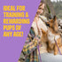 3 oz Wellness Soft Puppy Bites Dog Training Treats, Natural, Grain Free, Lamb and Salmon Recipe, Bag