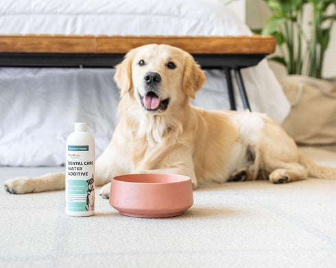 Dental Care Water Additive for Dogs & Cats | No Brush Formula | Oral Hygiene & Fresh Breath, Reduce Plaque and Tartar,