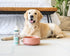 Dental Care Water Additive for Dogs & Cats | No Brush Formula | Oral Hygiene & Fresh Breath, Reduce Plaque and Tartar,