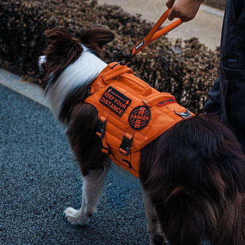 OneTigris Bolt Short Traffic Dog Leash for Small Medium Large Dogs (Orange, M)