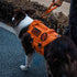 OneTigris Bolt Short Traffic Dog Leash for Small Medium Large Dogs (Orange, M)