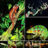kathson 3 PCS Reptile Vines Plants - Flexible Bendable Jungle Climbing Vine Decor for Terrarium