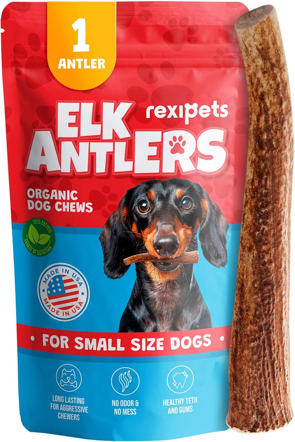 Elk Antler for Small Dogs - Grade A Long Lasting Chew for Aggressive Chewers, Real Organic Treats & Toys