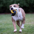 Tonka Rubber 3-Ring Tug Dog Toy, Lightweight, Durable, Water Resistant, 10.5 Inches for Medium/Large Breeds