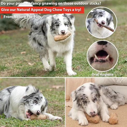 Willjoy 2-Pack Tough Dog Toys for Aggressive Chewers, Pine Wood and Nylon for Large Dogs