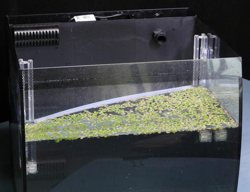 Aquarium Floating Plant Corral, Automatically Adjusts as Water Level Rises and Falls