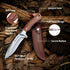 Flissa Fixed Blade Knife with Sheath, 9.8'' Full Tang Hunting Knife with High Carbon Steel Blade, Camping Knife