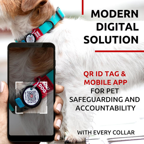 Waterproof Dog Collar, Heavy Duty Adjustable Durable Collars for Small Medium Large Dogs, Red Blue Pink Mint Green