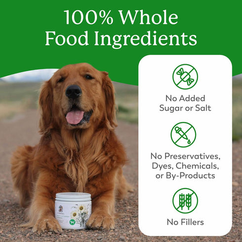 Dr. Harvey's Herbal Multi-Vitamin and Mineral Supplement for Dogs, 7 Ounces