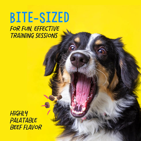 Crazy Dog Mini Train-Me! Training Treats, 10 oz. Bag, Beef Flavor, 500 Treats per Bag