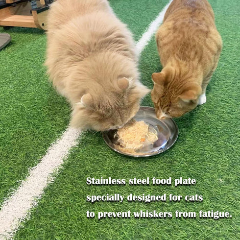 Cat Food Dishes, Stainless Steel Shallow Dish with Non-Slip Placemat, 4 PCS Medium Pet Dishes