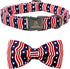 Lionheart Glory American Flag Dog Collar, 4th of July Heavy Duty Adjustable Patriotic Bowtie Collar for Small Dogs Pet