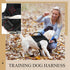 Tactical Puppy Vest Harness - Adjustable Military Vests for Small Dogs, Outdoor Training Harnesses with Handle