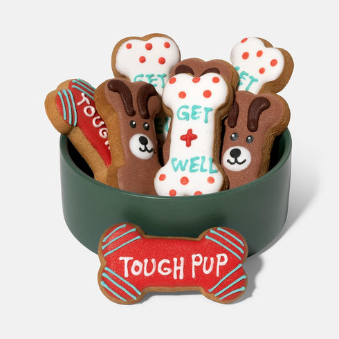 Thoughtfully Pets Get Well Dog Cookies Gift Set, Crunchy Dog Treats, Colorfully Hand Decorated Dog Biscuits, Pack of 8