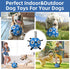 QDAN Extra Large Dog Toys, Soccer Ball - Durable Dog Balls for Extra Large Dogs, Outdoor Water Toy (9 Inch)