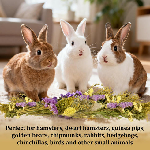 42Pcs Sukh Herb Bedding Habitat Decor - Natural Flower Hamster Mate Herbs Sprays Cage Safe Pet Accessories Decorations