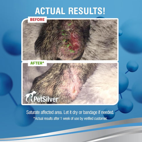 PetSilver Wound & Skin Spray, Dog Wound Spray, Allergy Relief for Dogs, Natural Skin Soother, 4 fl oz