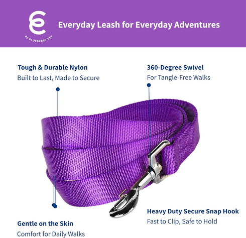 Blueberry Pet Essentials Dark Orchid Dog Leash, Heavy Duty Nylon Lead for Small Dogs, 5' * 5/8"