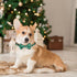 ADOGGYGO Christmas Dog Collar with Bow Tie, Adjustable Red Green Plaid Pet Christmas Collars for Medium Dogs