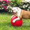 10 Inches/Large, (310 Jolly Pets Push-n-Play Ball Dog Toy, Red RD)