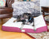 Armarkat Pet Bed Mat, 39-Inch by 28-Inch by 7-Inch, M02HJH/MB-Large, Ivory