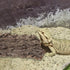 Mipcase Reptile Bark Hideout Decor - Cork Bark Climbing Mat for Terrarium and Reptiles