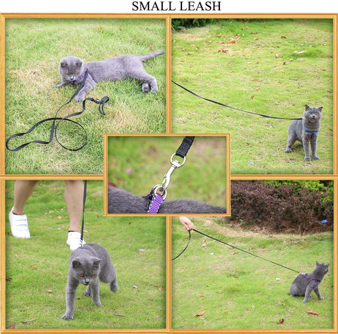 AMAGOOD 6 FT Puppy/Dog Leash, Durable Traditional Style with Easy Collar Hook, Great for Small Medium Large Dogs (Black