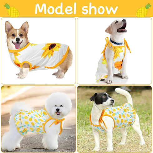 4 Pieces Pet Clothes Set, 2 Cute Dog Dresses and 2 Breathable T-Shirts for Pets (X-Large)