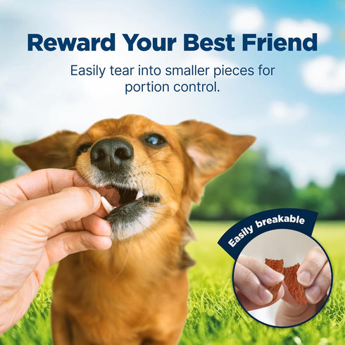Blue Buffalo Nudges Jerky Bites Dog Treats, Chicken, 5 oz Bag, Made in the USA with Natural Ingredients