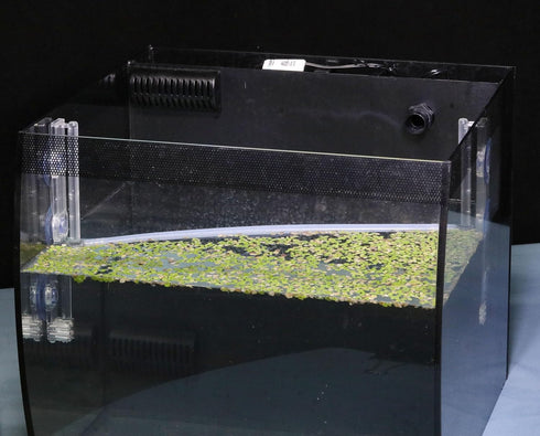 Aquarium Floating Plant Corral, Automatically Adjusts as Water Level Rises and Falls