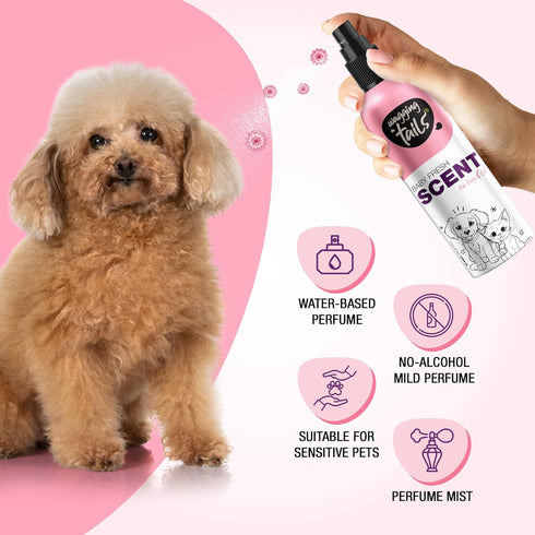 200ml (6.76 oz) Wagging Tails Baby Fresh Pet Scent | Natural Aloe Vera & Elemi Gum Oil | Long-Lasting Deodorizing Spray