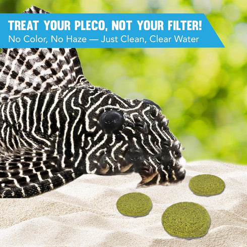 Pleco Treats, Disc-Shaped Supplement for Bottom Feeders, Strengthens Overall Development, 2.8 oz. per Pack