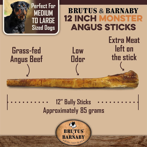 BRUTUS & BARNABY Jumbo Bully Sticks for Large Dogs - (3-Pack) No Hormones Added, Grain Free, 12" Thick Bully Bones