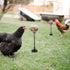 MinrzPet Chicken Treat Dispenser, Chicken Enrichment Toys with Spring and Ground Stake, Feeder for Coop, Coop
