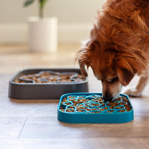 Messy Mutts Interactive Square Slow Feeder | Cool Grey (2 Cup) | 8” x 8” Puzzle Dish for Dogs/Cats, Slow Eating